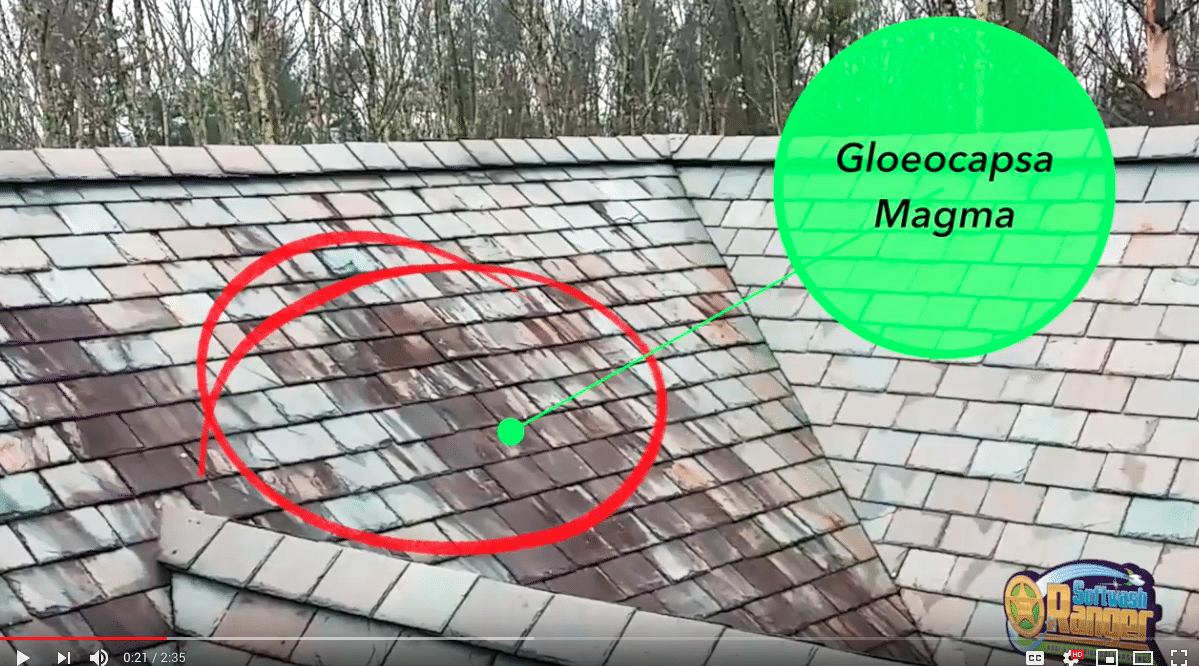 How To Remove Black Streaks From Your Roof | Softwash Ranger